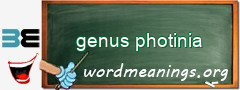 WordMeaning blackboard for genus photinia